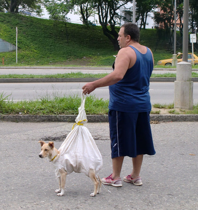 Slik holder du deg ung #2