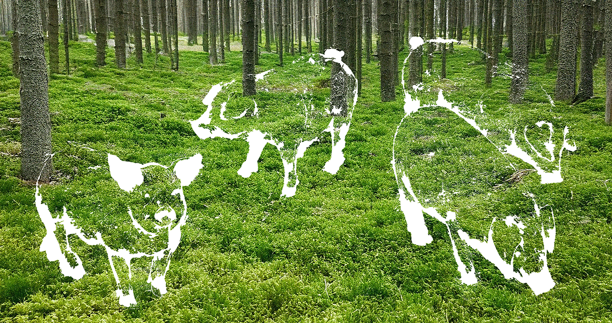 Hvorfor sier vi egentlig dette? (Nr. 1)