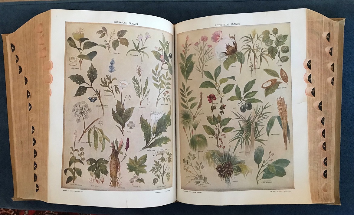 Er det så mye å si om ordbøker, da? (del 1)